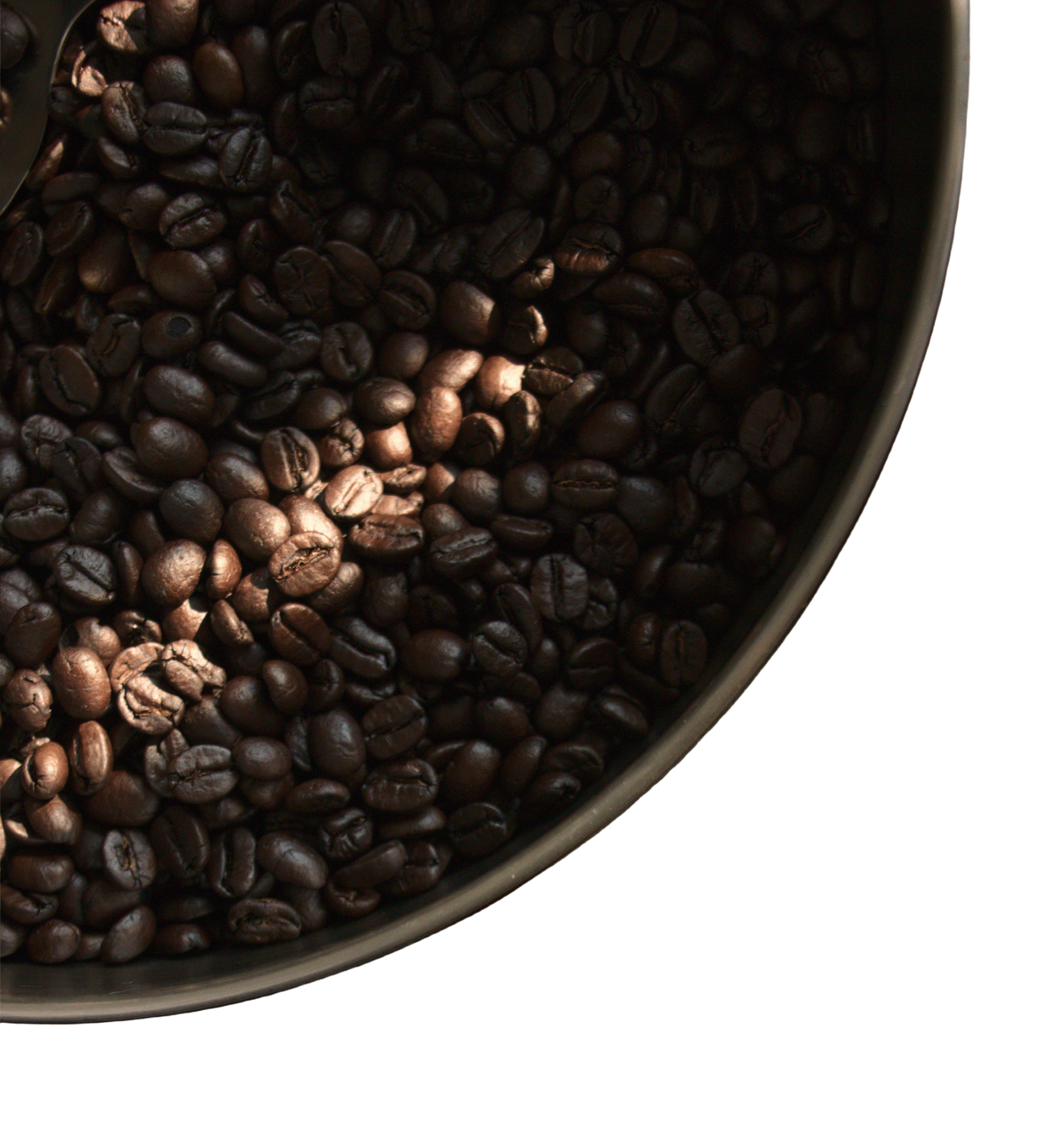 Close-up of roasted coffee beans in a black container on a white background